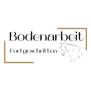 Bodenarbeit Fortgeschritten
