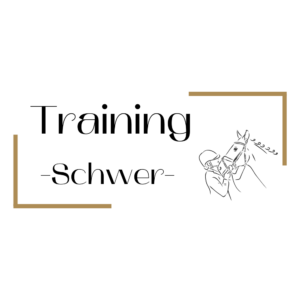 Training Schwer